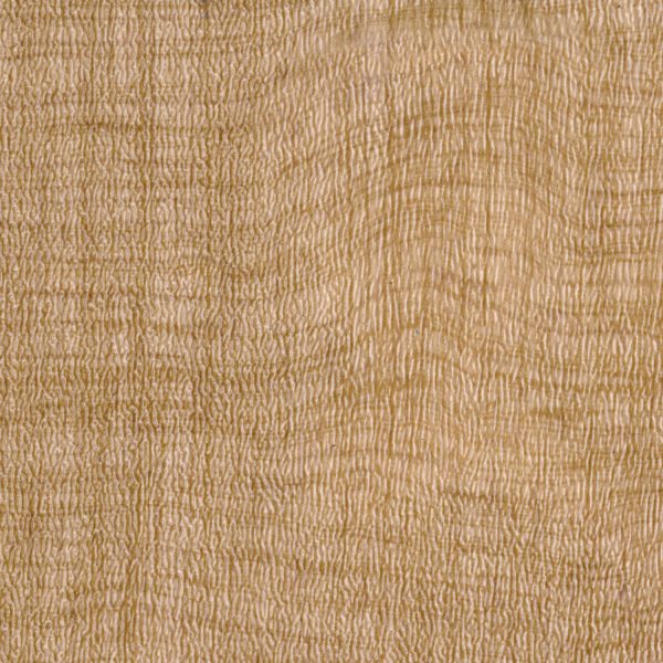 Fiber Sand 5E017