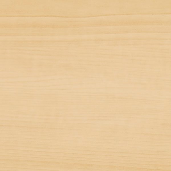 Sugar Maple 0548