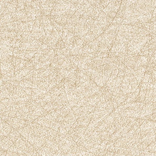 Wisp 5E012